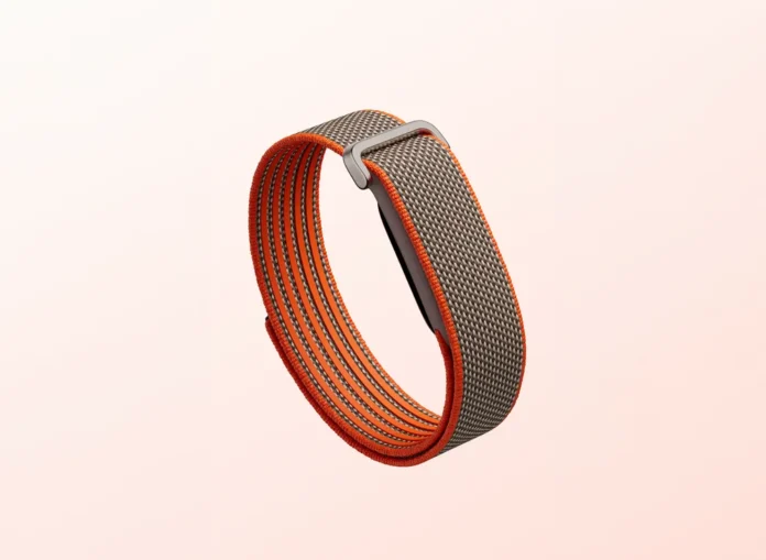 Google Fitbit Air